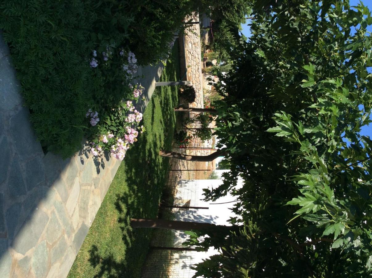 Eleana Studios Skyros Exterior photo