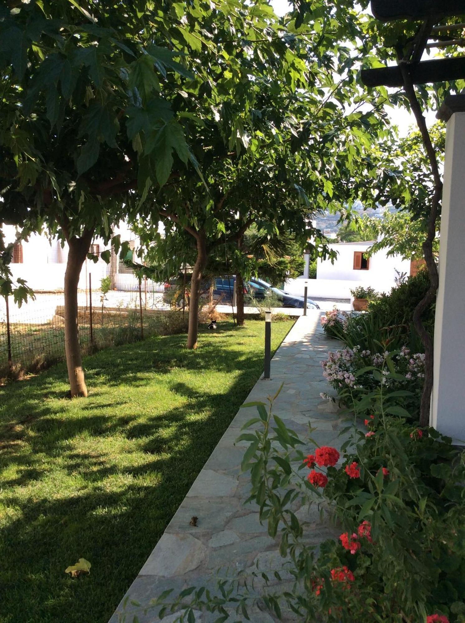Eleana Studios Skyros Room photo