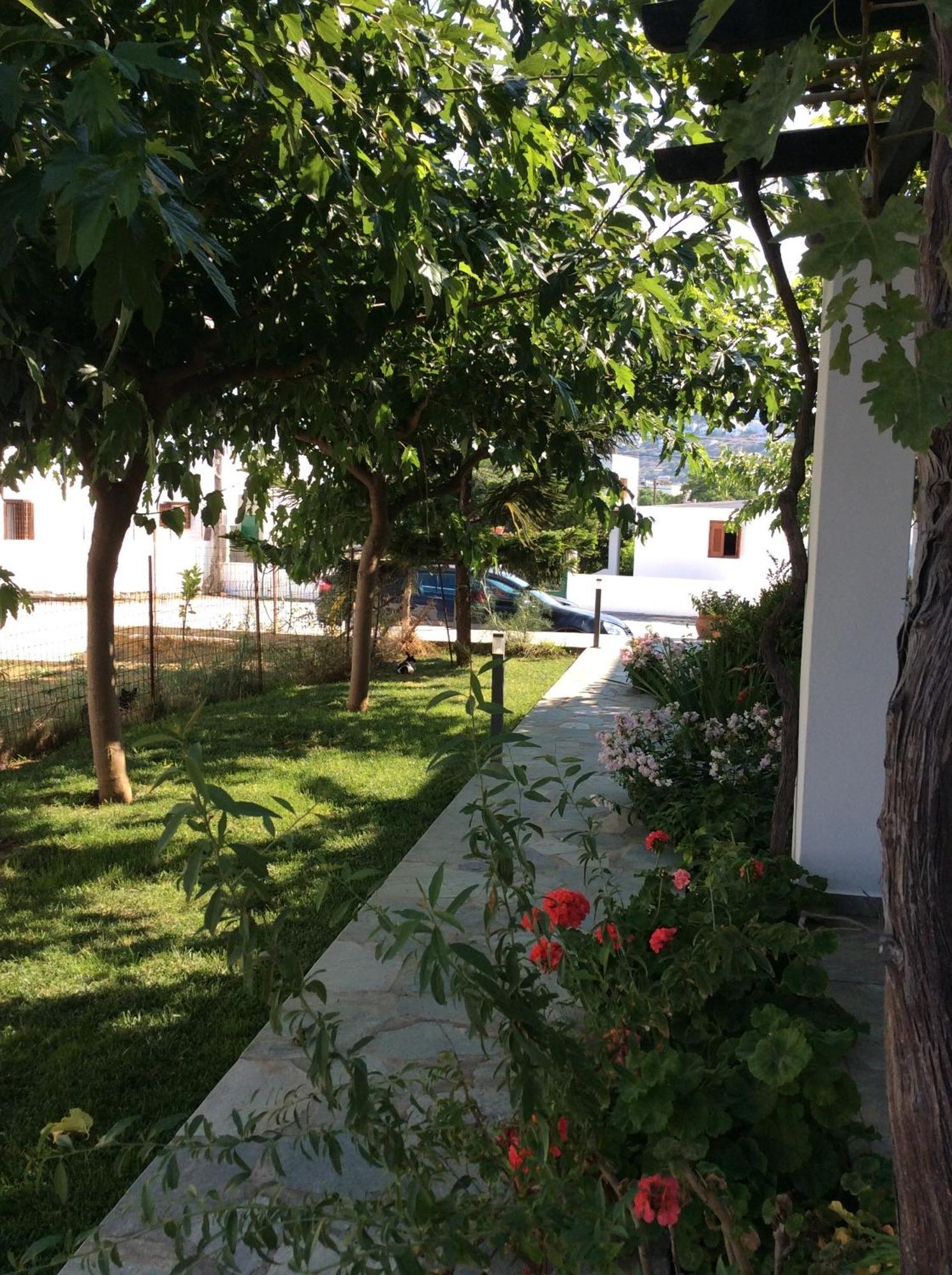 Eleana Studios Skyros Exterior photo