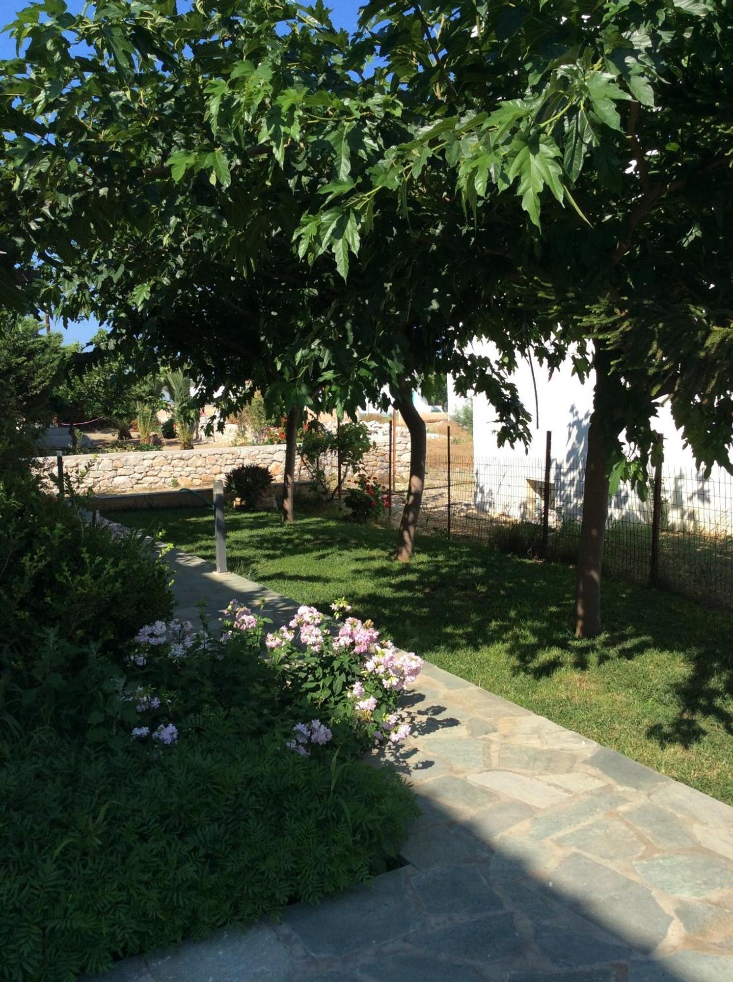 Eleana Studios Skyros Exterior photo