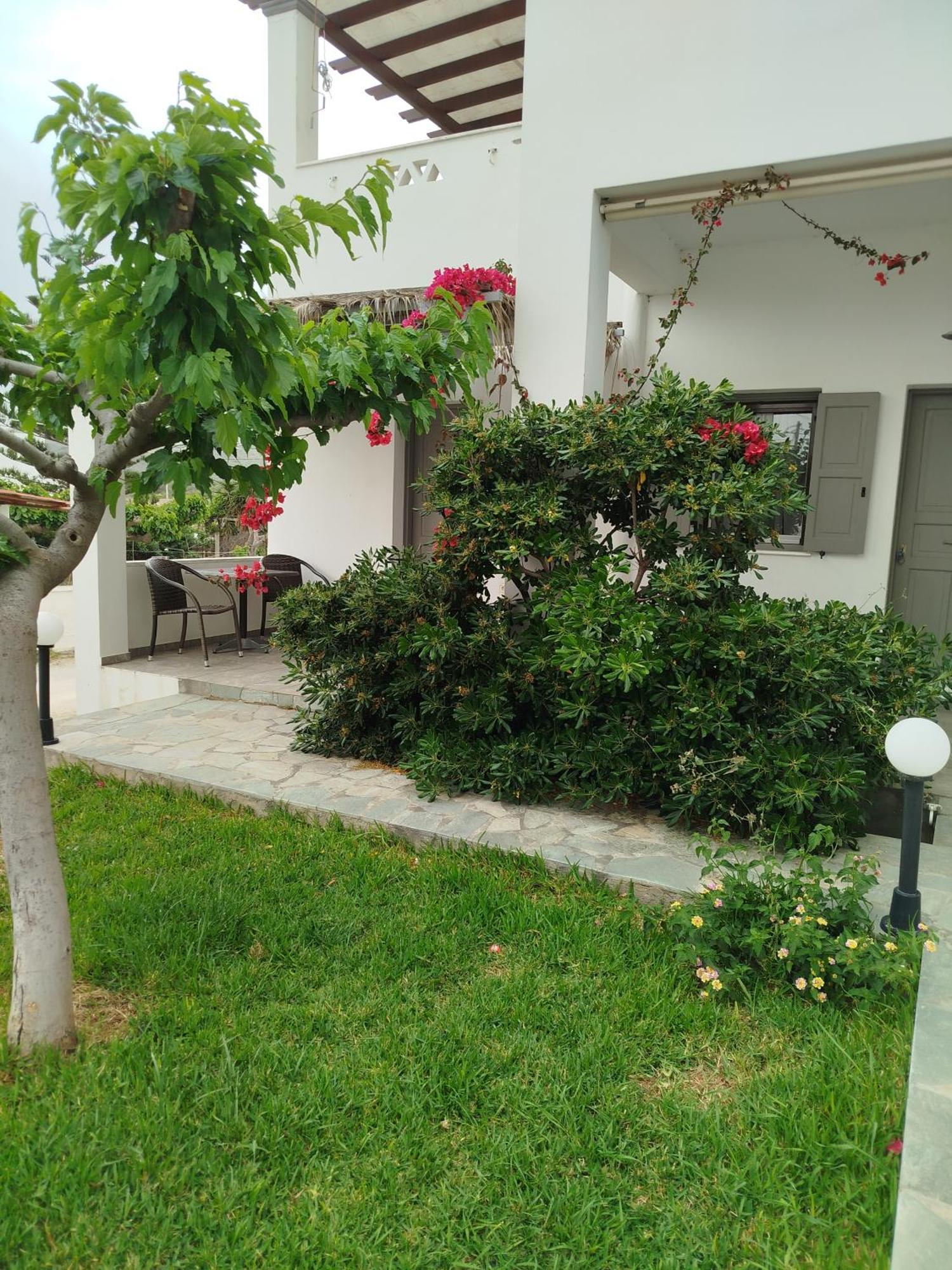 Eleana Studios Skyros Exterior photo